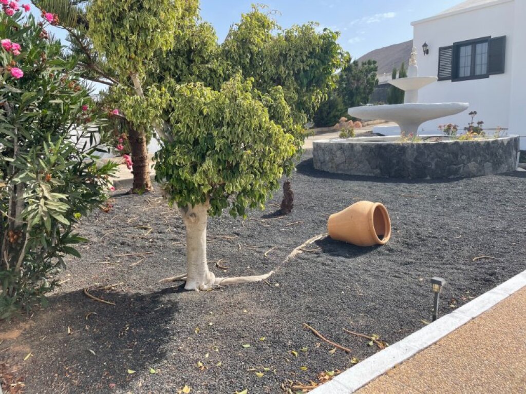 Casa-Chalet Costa Teguise (Lanzarote) - 1198447-02