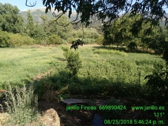 Casa de campo-Masía Cortes De La Frontera - 1200856-01
