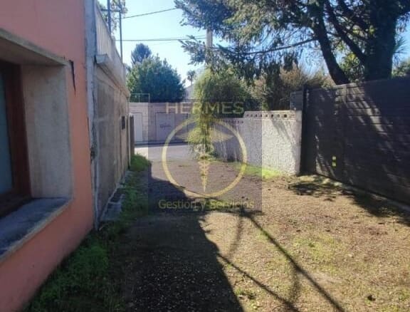 Piso Tui - 1208372-02