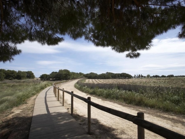 Casa de pueblo Torrevieja - 1208137-06