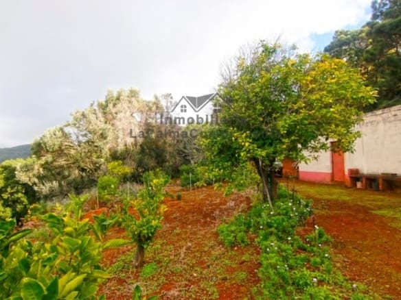 Casa de campo-Masía Llano Negro - 1041512-03