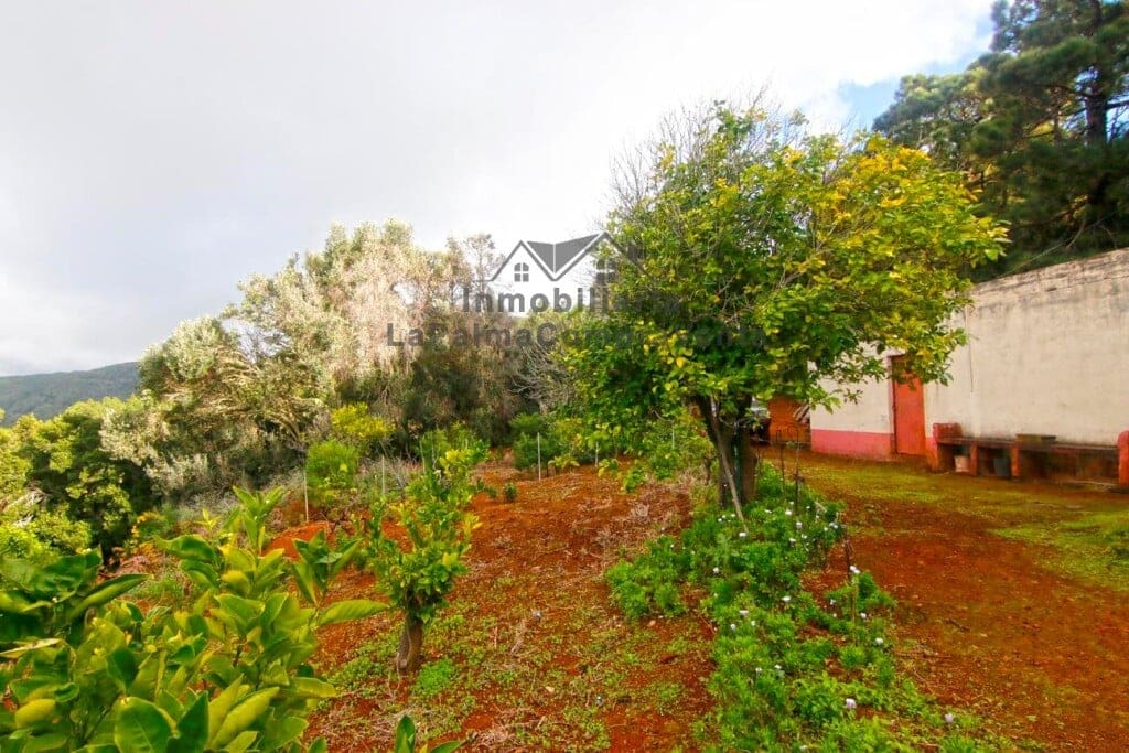 Casa de campo-Masía Llano Negro - 1041512-03