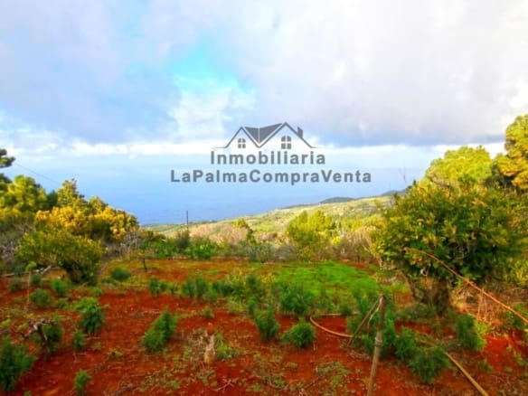 Casa de campo-Masía Llano Negro - 1041512-04