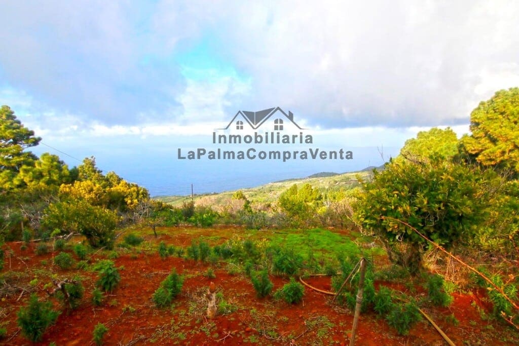 Casa de campo-Masía Llano Negro - 1041512-04