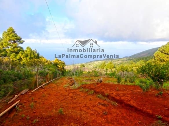 Casa de campo-Masía Llano Negro - 1041512-05