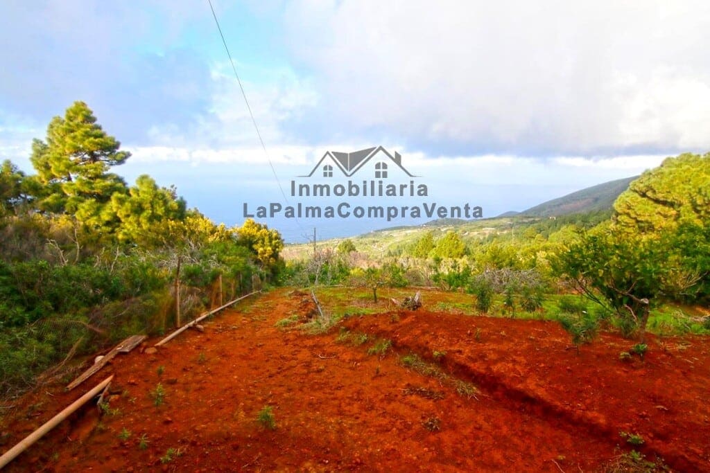 Casa de campo-Masía Llano Negro - 1041512-05