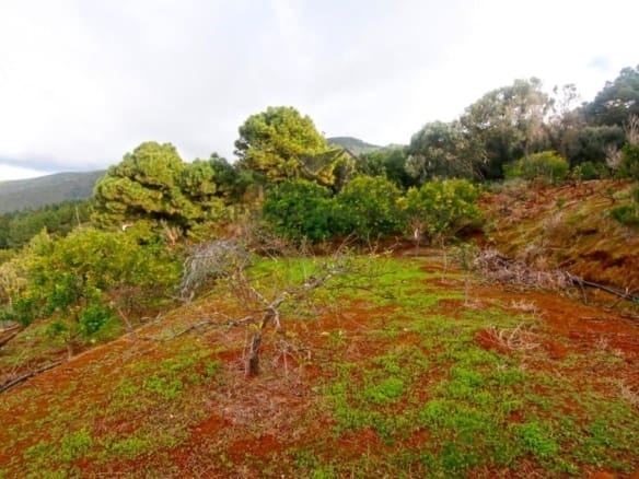 Casa de campo-Masía Llano Negro - 1041512-06