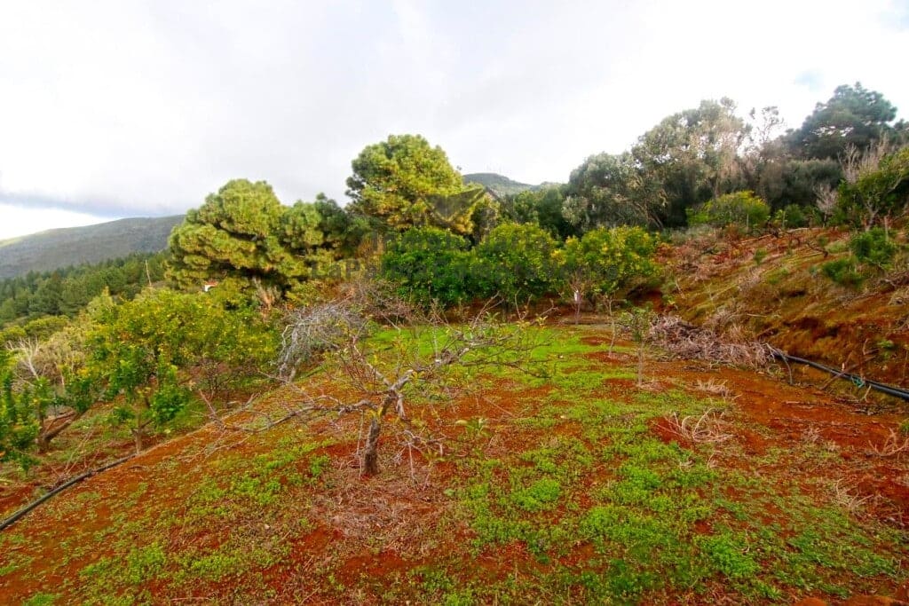 Casa de campo-Masía Llano Negro - 1041512-06