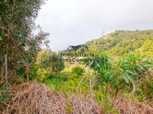 Casa-Chalet Llano Negro - 1049488-03