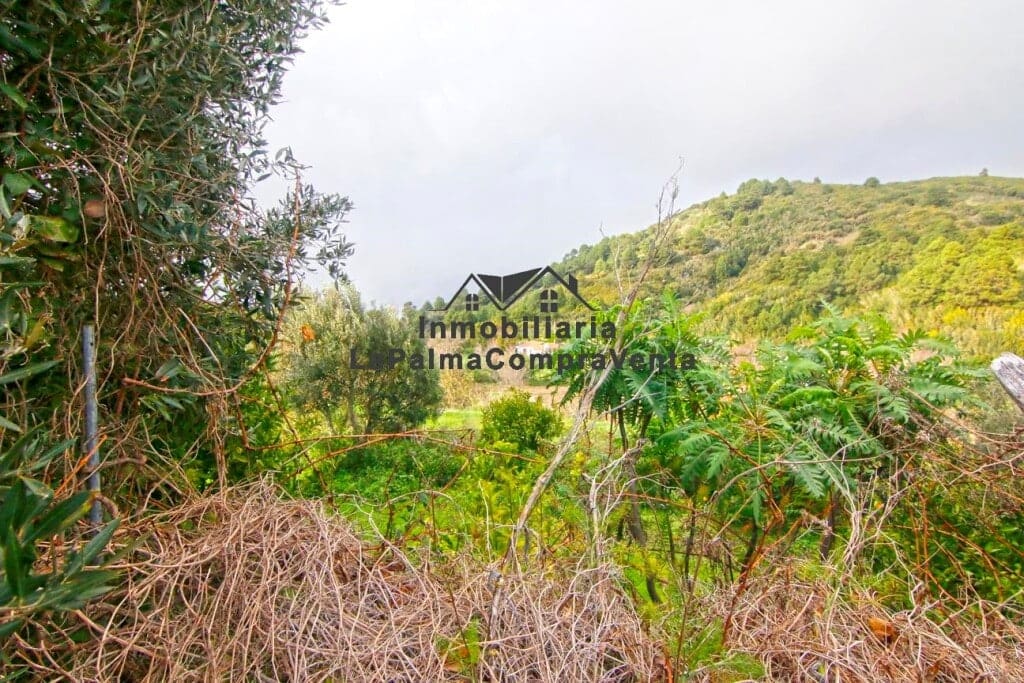 Casa-Chalet Llano Negro - 1049488-03