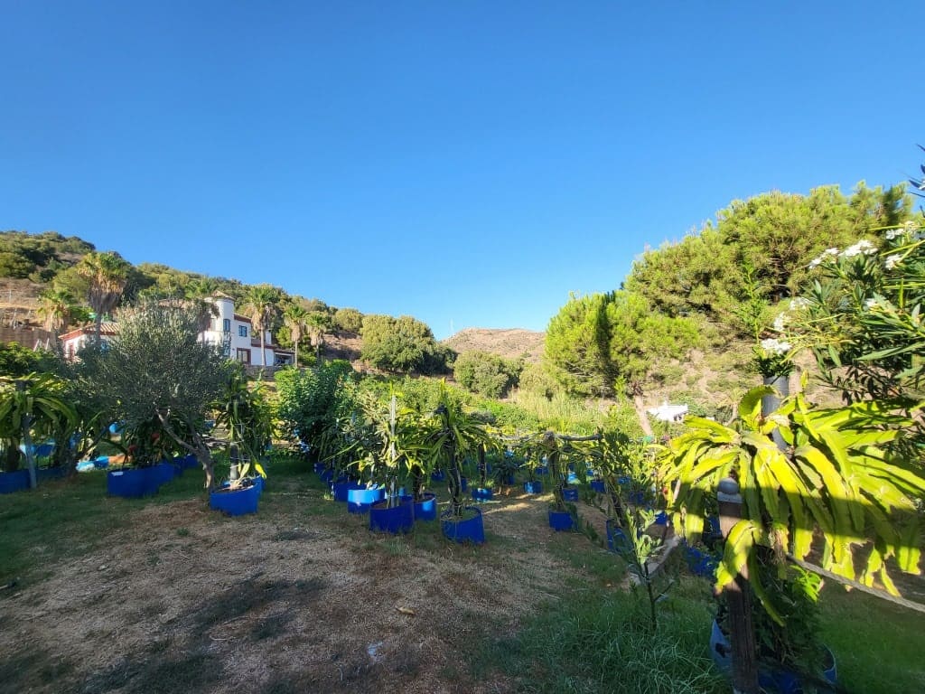 Casa-Chalet Estepona - 1208619-04