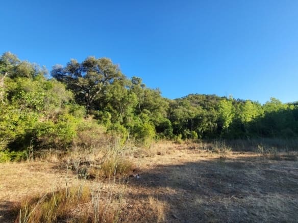Casa de campo-Masía Farajan - 1212245-04