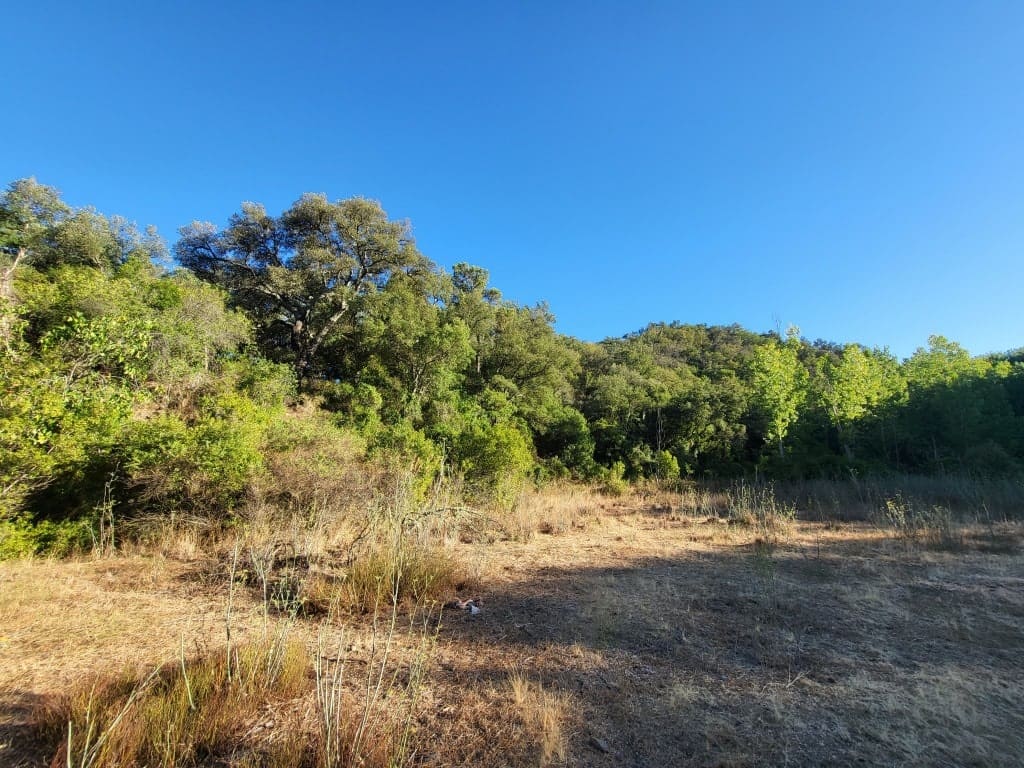 Casa de campo-Masía Farajan - 1212245-04