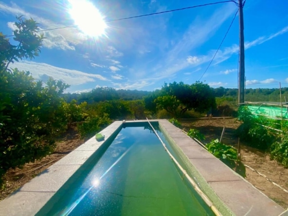 Casa de campo-Masía Masdenverge - 1191985-02