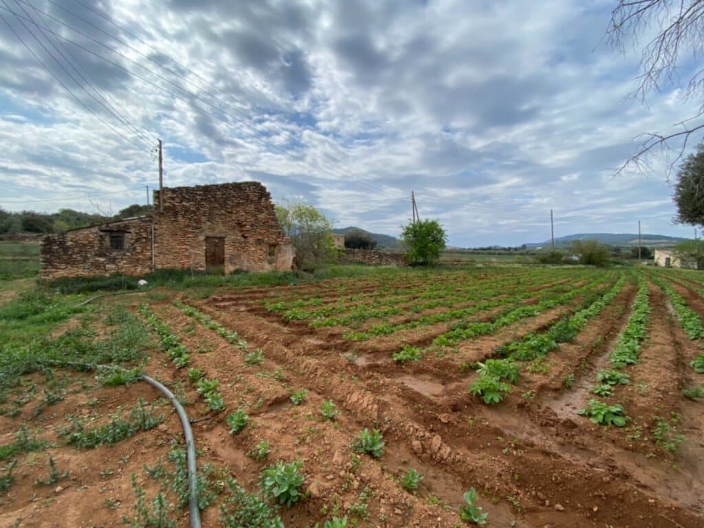 Casa de campo-Masía Masdenverge - 845990-01