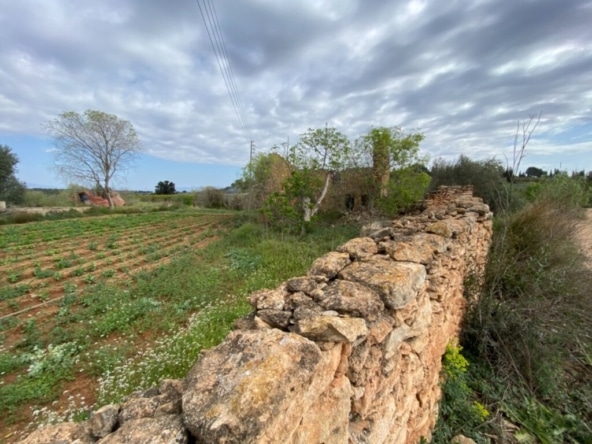 Casa de campo-Masía Masdenverge - 845990-04