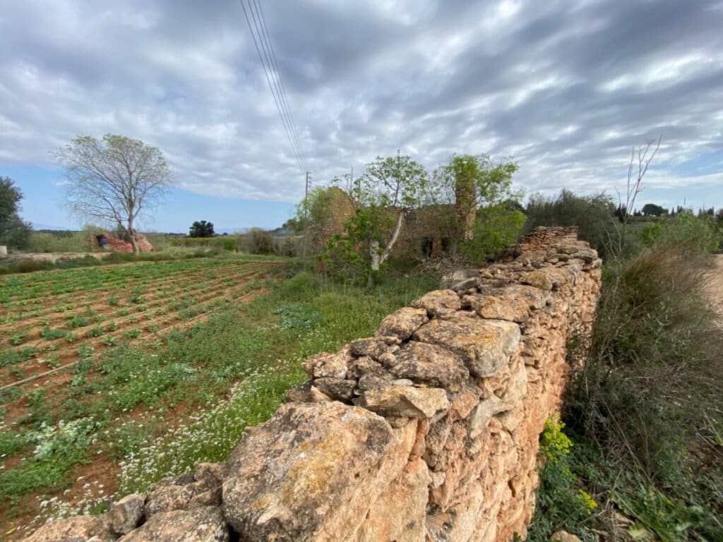 Casa de campo-Masía Masdenverge - 845990-04