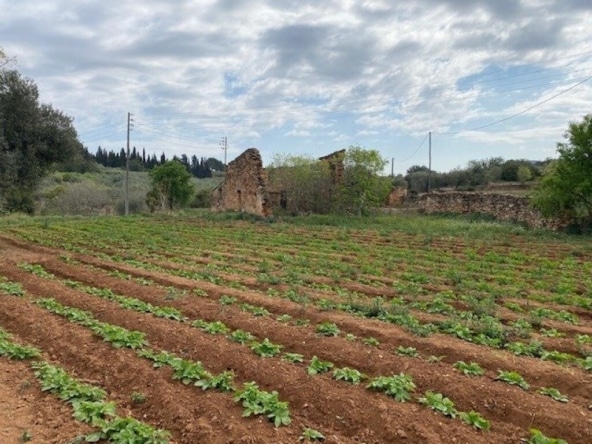 Casa de campo-Masía Masdenverge - 845990-06