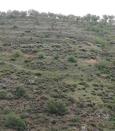 Casa de campo-Masía Durcal - 1041240-01