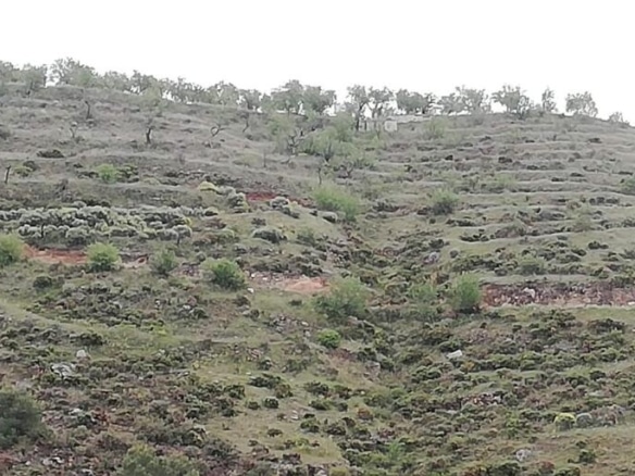 Casa de campo-Masía Durcal - 1041240-03