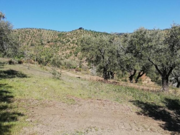 Casa de pueblo Pinos Del Valle - 1041628-02