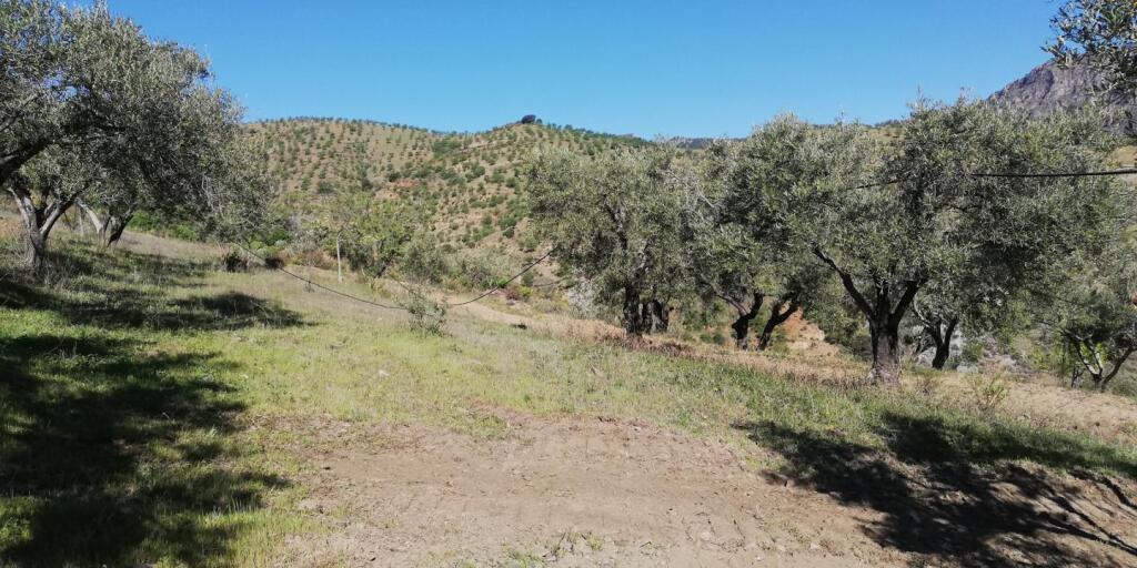 Casa de pueblo Pinos Del Valle - 1041628-02