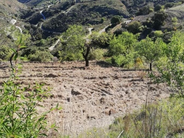 Casa de pueblo Pinos Del Valle - 1041628-03