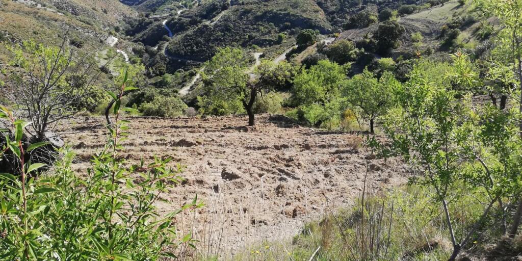 Casa de pueblo Pinos Del Valle - 1041628-03