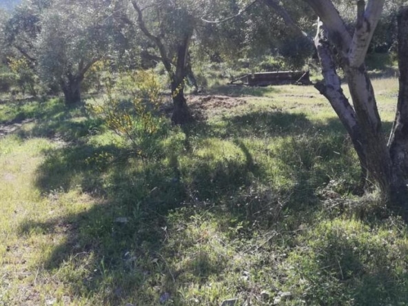 Casa de pueblo Pinos Del Valle - 1041628-04
