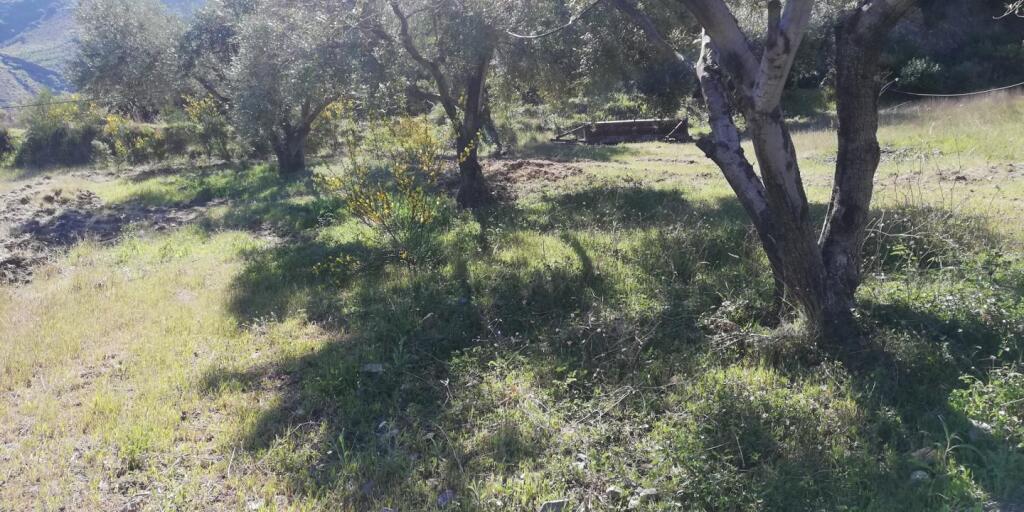Casa de pueblo Pinos Del Valle - 1041628-04
