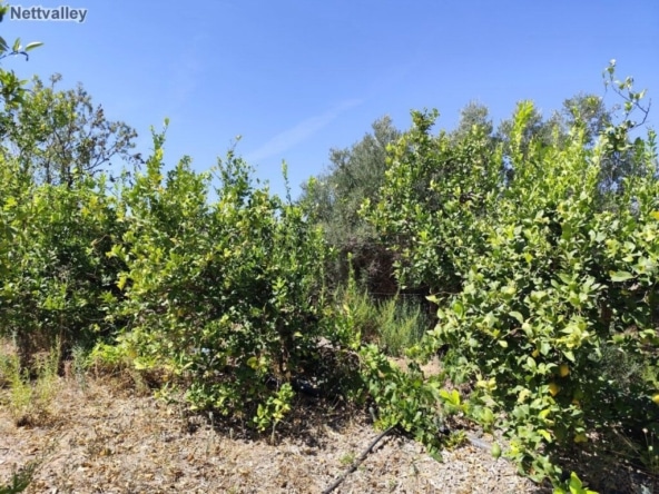 Casa de campo-Masía Lecrin - 1203926-02