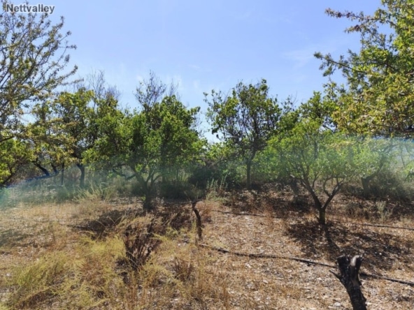Casa de campo-Masía Lecrin - 1203926-04