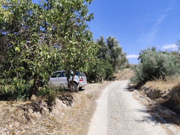 Casa de campo-Masía Lecrin - 1203927-04