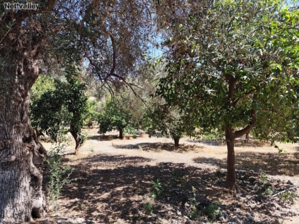 Casa de campo-Masía Lecrin - 1203927-01