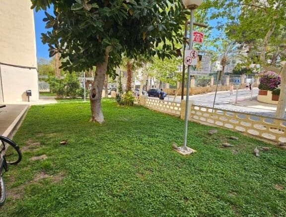 Apartamento Benidorm - 1234169-03