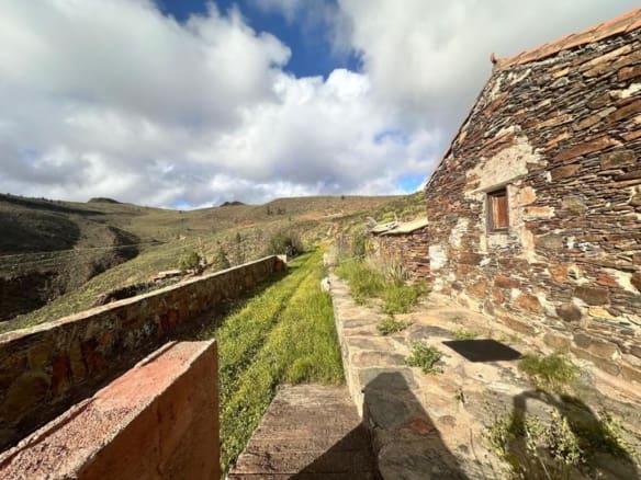 Casa de campo-Masía San Bartolome De Tirajana - 1224869-06