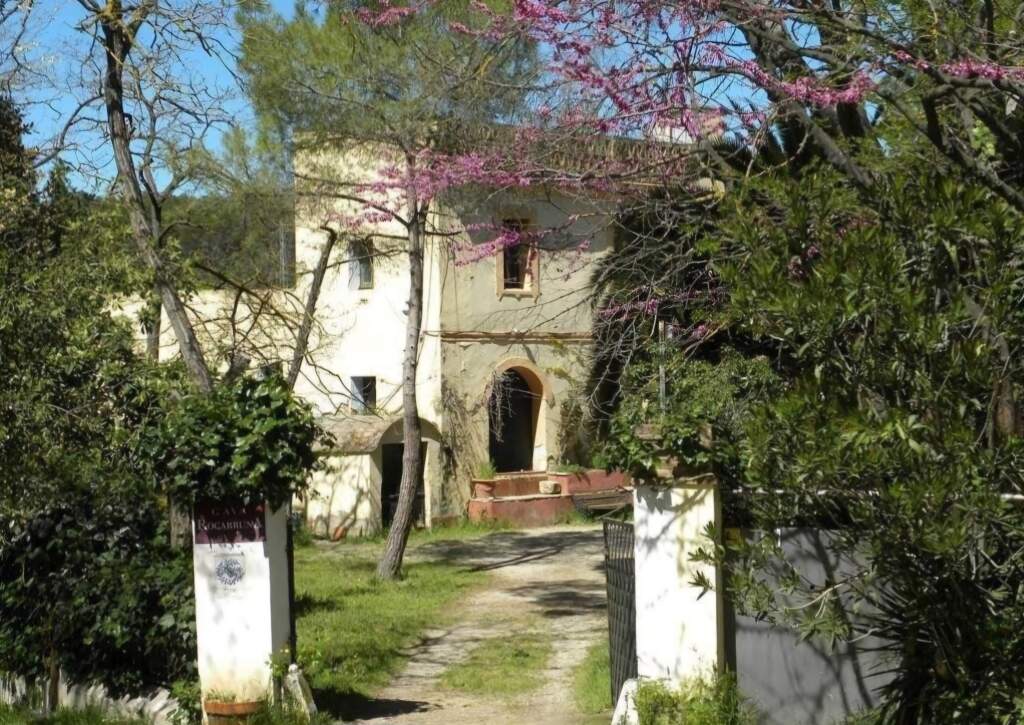 Casa-Chalet Torrelavit - 1228681-02