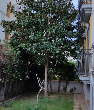 Piso Calafell - 1234678-03