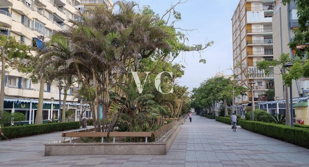 Apartamento Torre Del Mar - 1233371-03