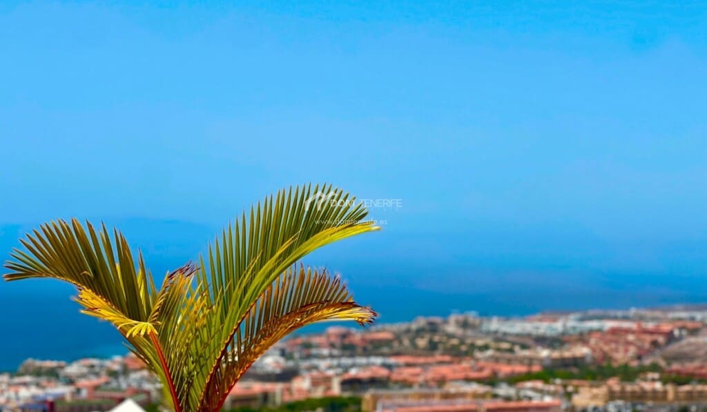 Apartamento Adeje - 1234174-05