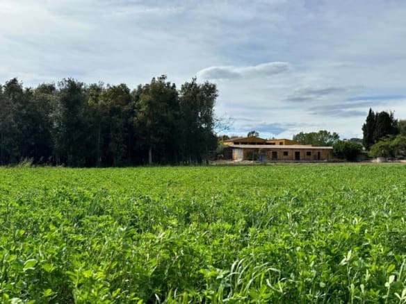 Casa de campo-Masía Calella De Palafrugell - 1205756-02