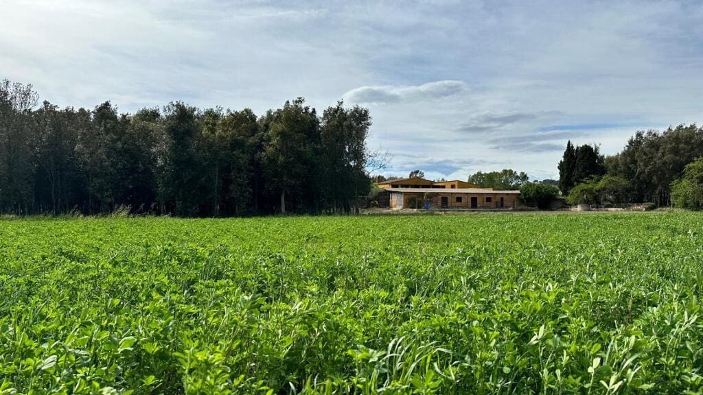 Casa de campo-Masía Calella De Palafrugell - 1205756-02