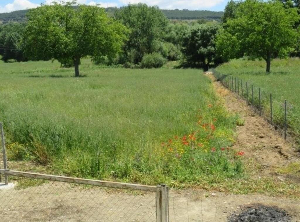 Casa de campo-Masía Ronda - 1223196-04