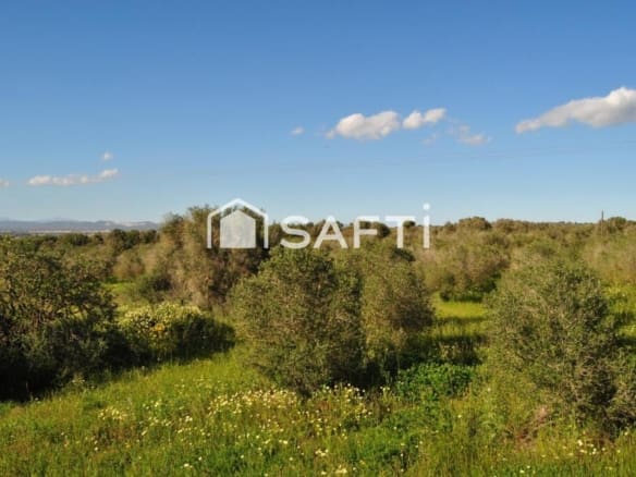 Casa de campo-Masía Campos - 1225841-03