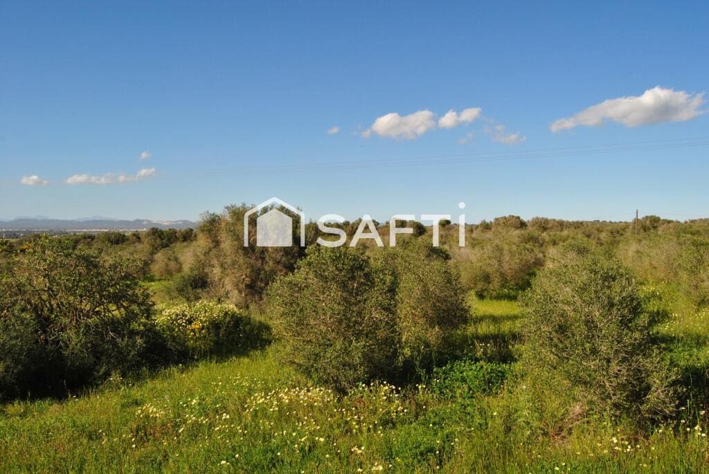 Casa de campo-Masía Campos - 1225841-03