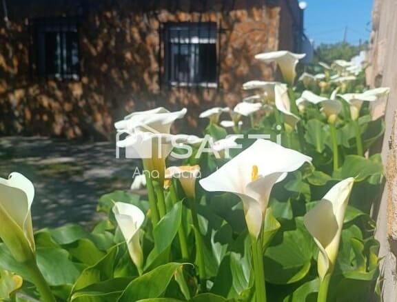 Casa de campo-Masía Castelló De La Plana(Castellón De La Plana) - 1226464-02