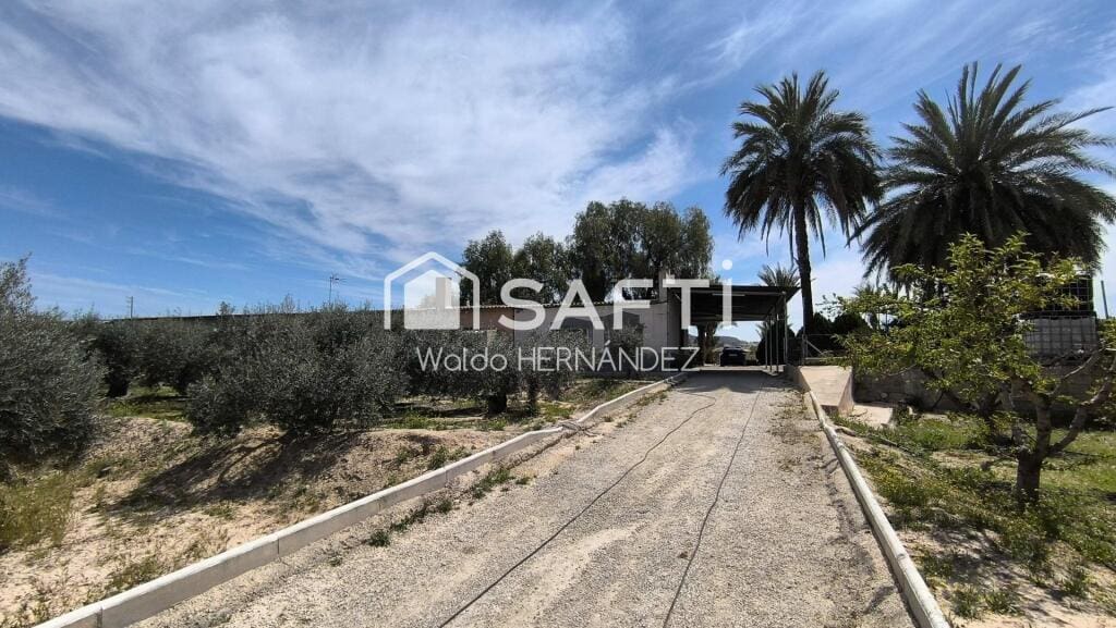 Casa de campo-Masía Murcia - 1226468-02
