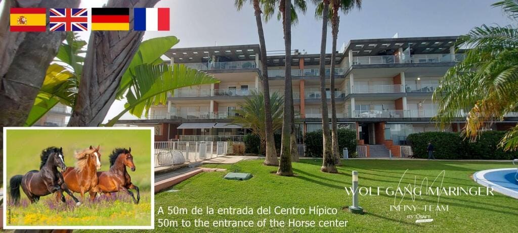 Apartamento Oliva - 1227293-01