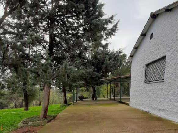 Casa de campo-Masía San Agustin Del Guadalix - 1230024-04