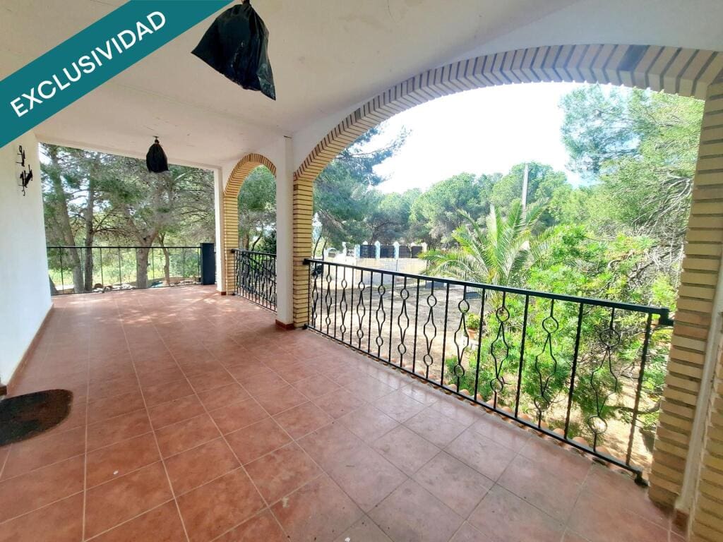 Casa de campo-Masía Sagunto - 1231159-06
